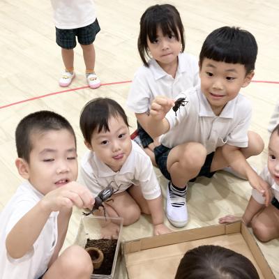 カブトムシの観察をしました 《大阪市中央区心斎橋、長堀橋にある学べる保育園HUGキッズ、一時預かり》