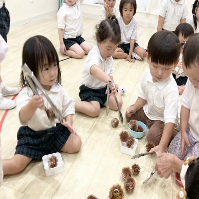 リトミックをしました 《大阪市中央区心斎橋、長堀橋にある学べる保育園HUGキッズ、一時預かり》