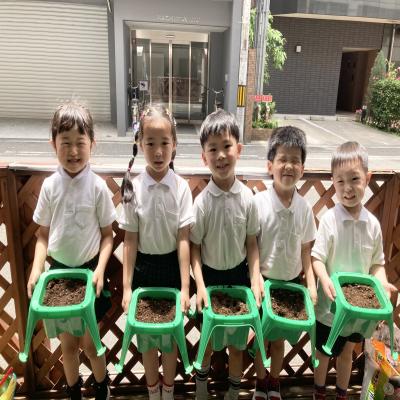探究学習 《大阪市中央区心斎橋、長堀橋にある学べる保育園HUGキッズ、一時預かり》