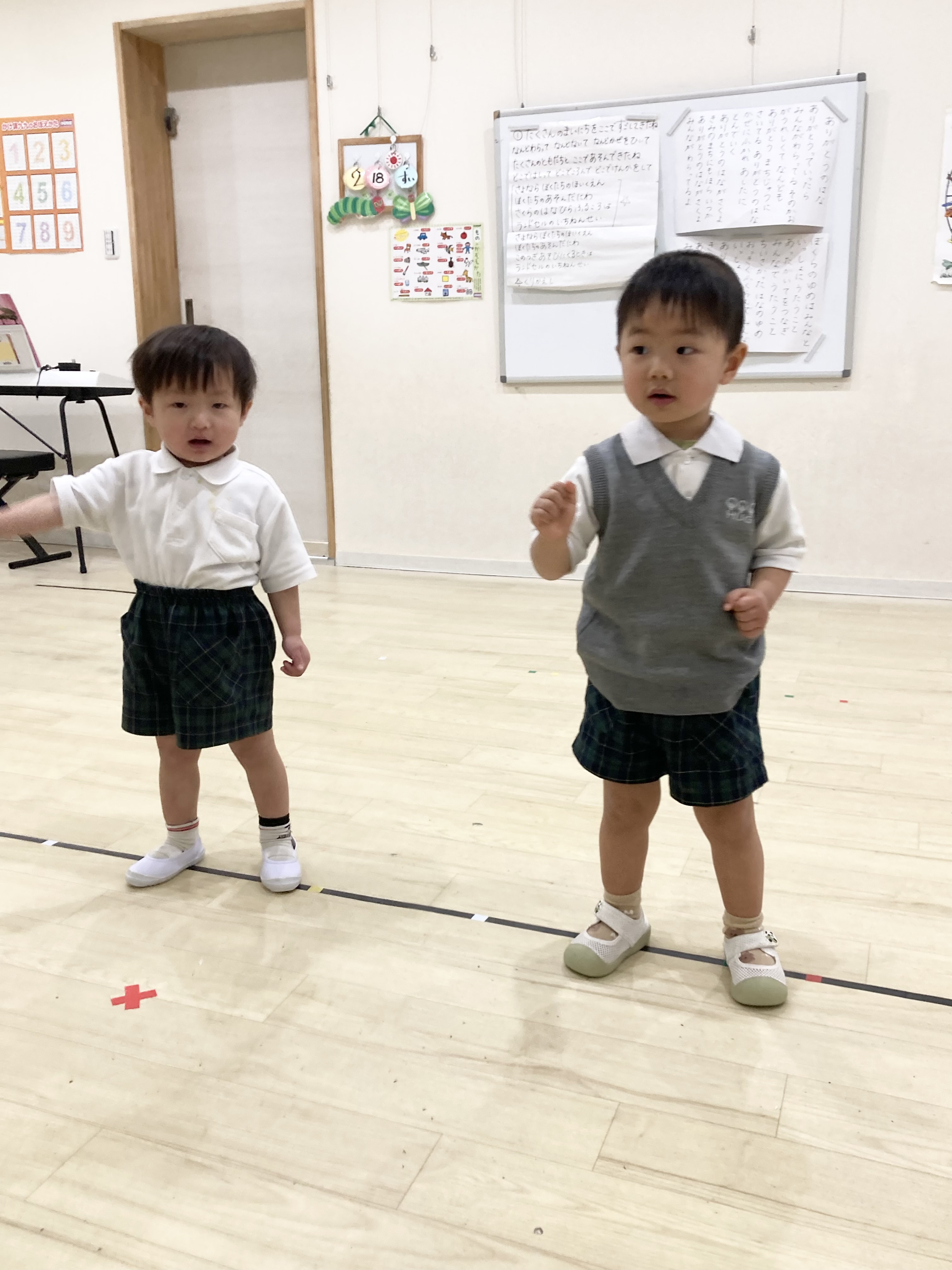 IMG_0133.jpeg (1.45 MB)