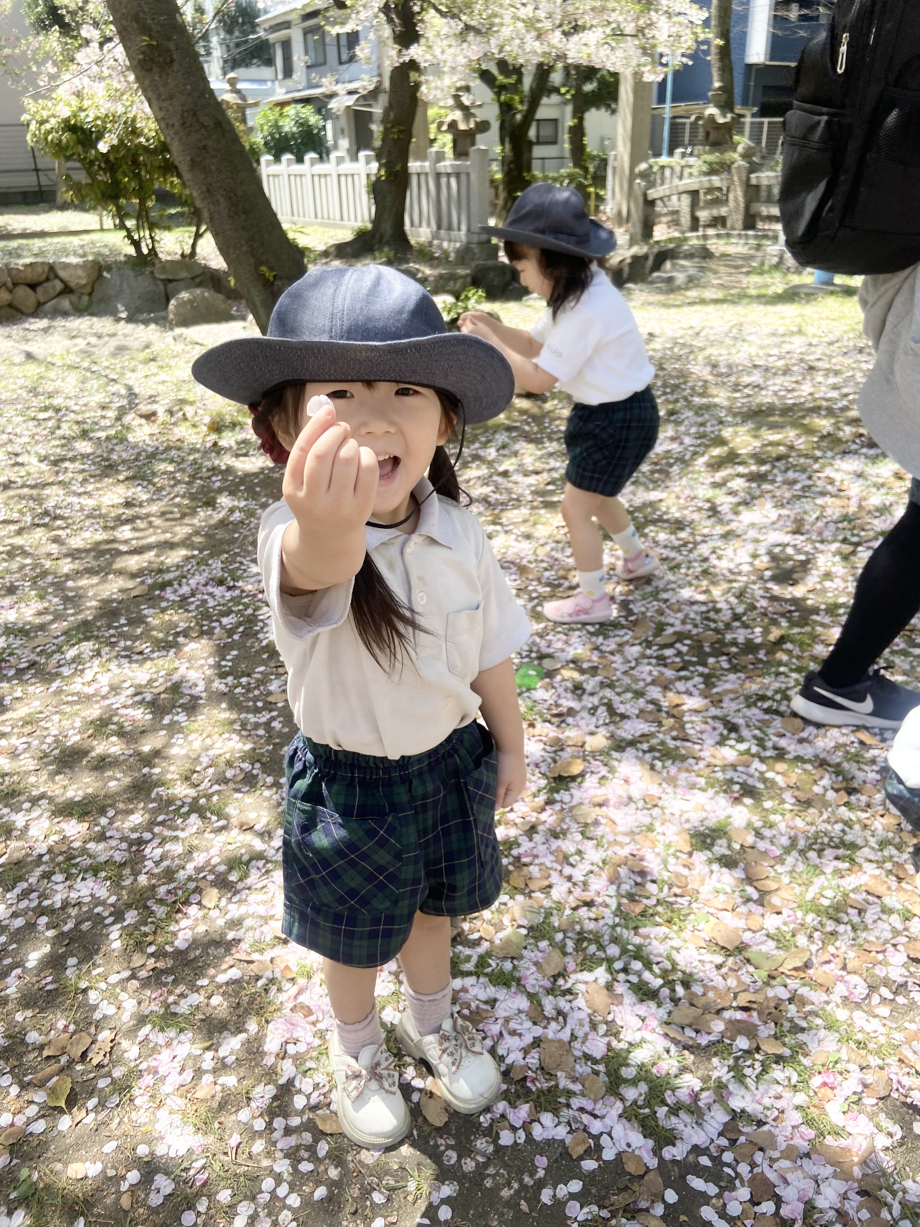 IMG_0452.jpeg (3.09 MB)