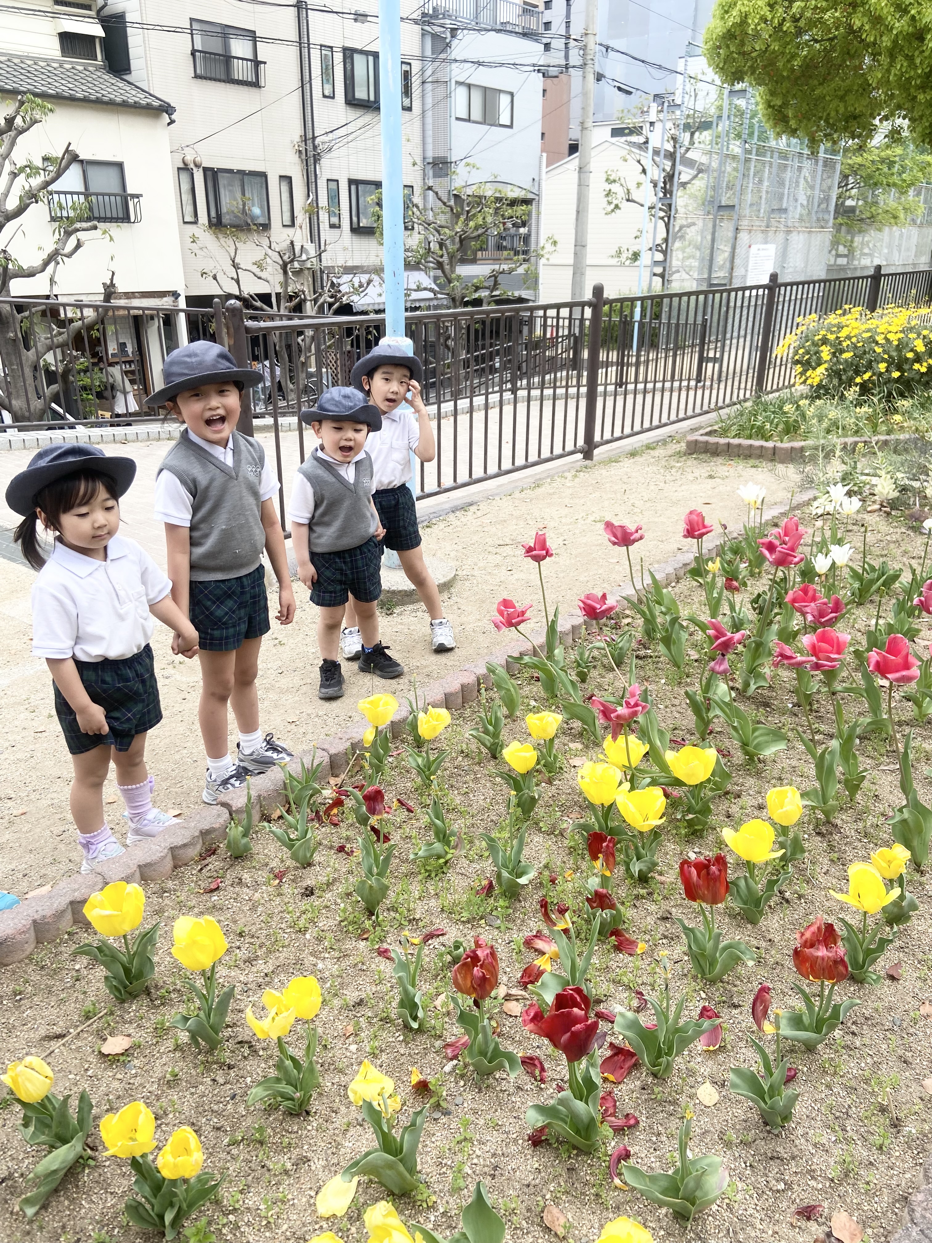 IMG_0500.jpeg (4.83 MB)