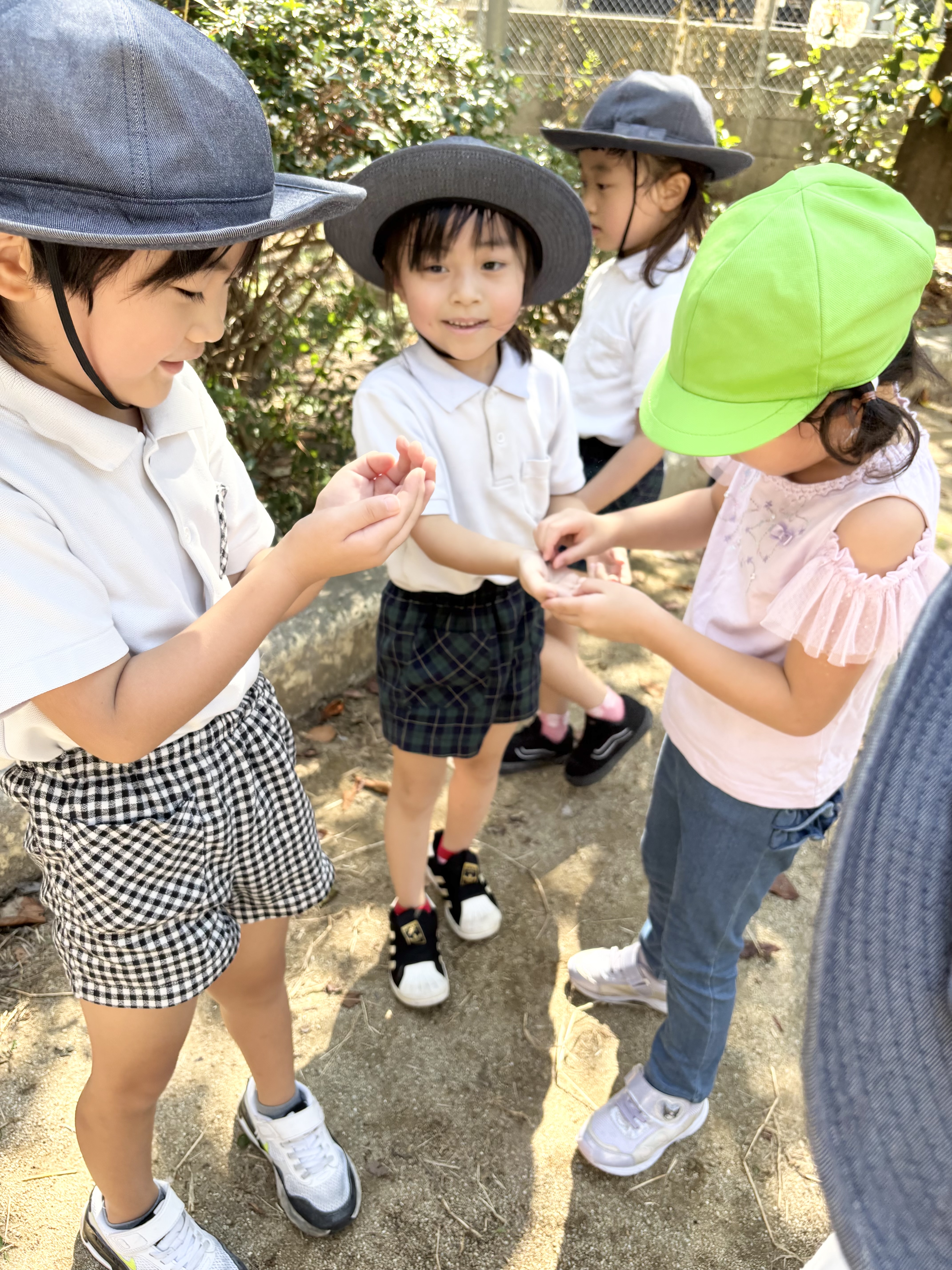 IMG_0567.jpeg (4.73 MB)