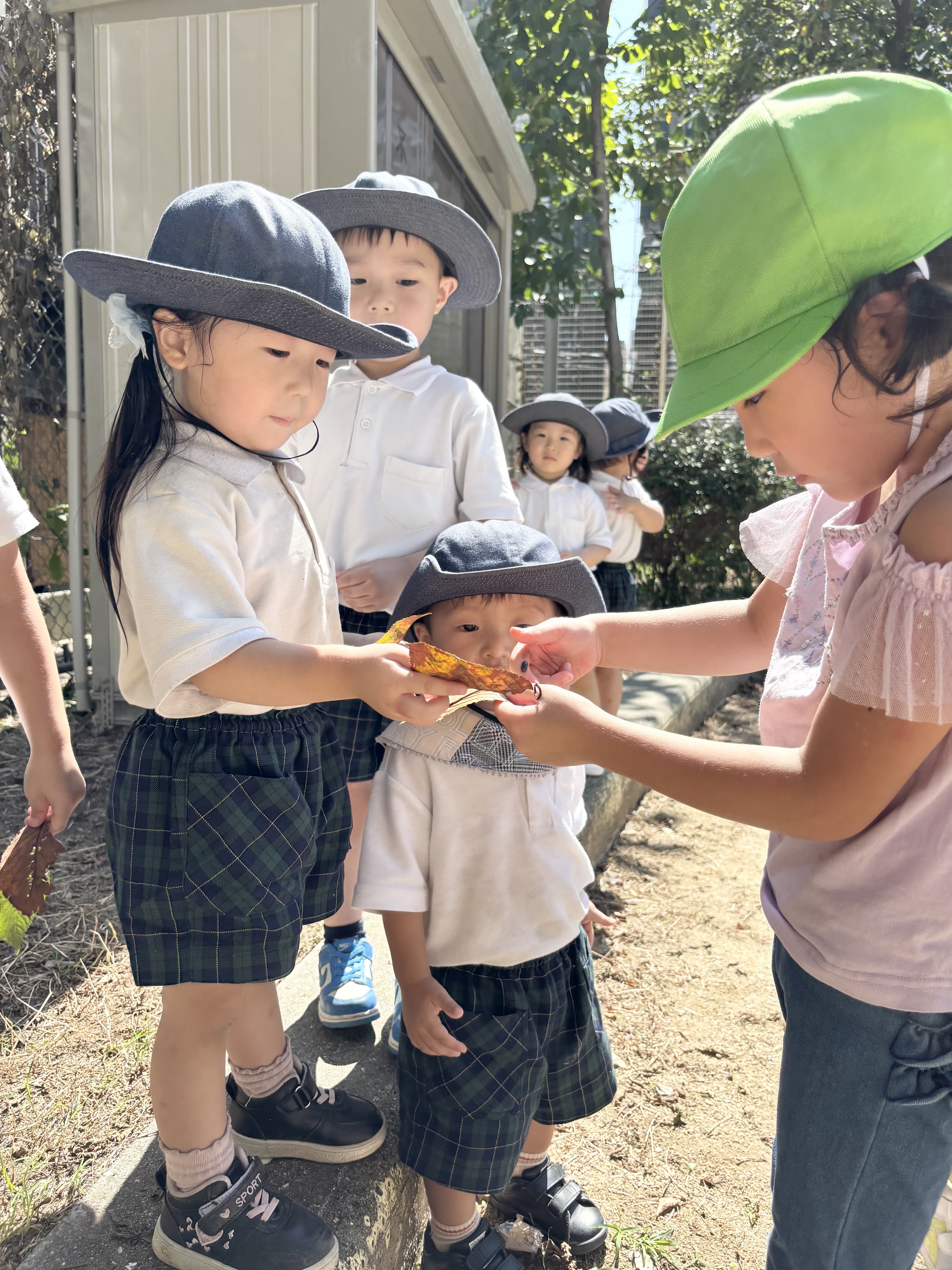 IMG_0584.jpeg (5.28 MB)