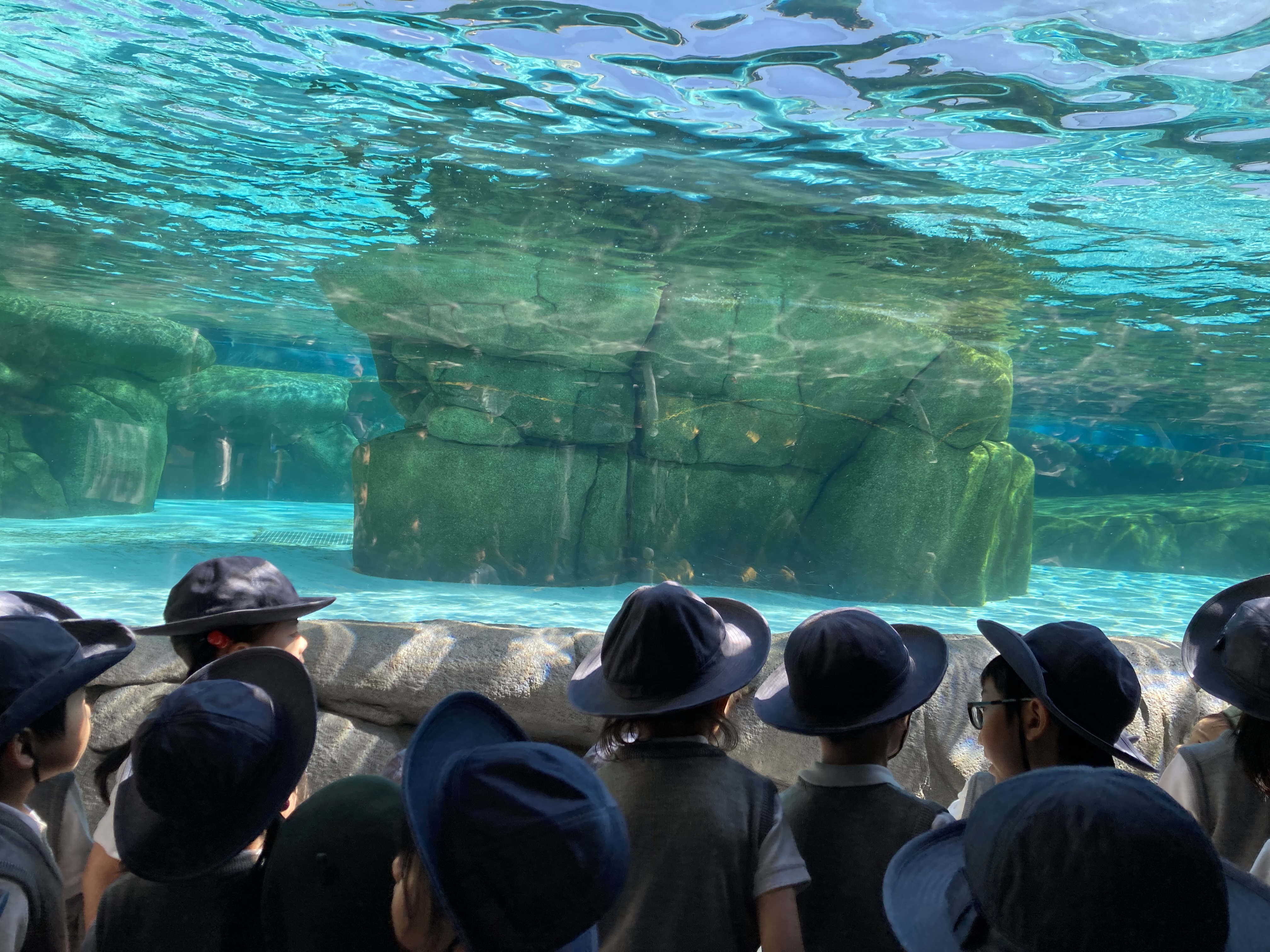 IMG_1271.jpeg (2.49 MB)