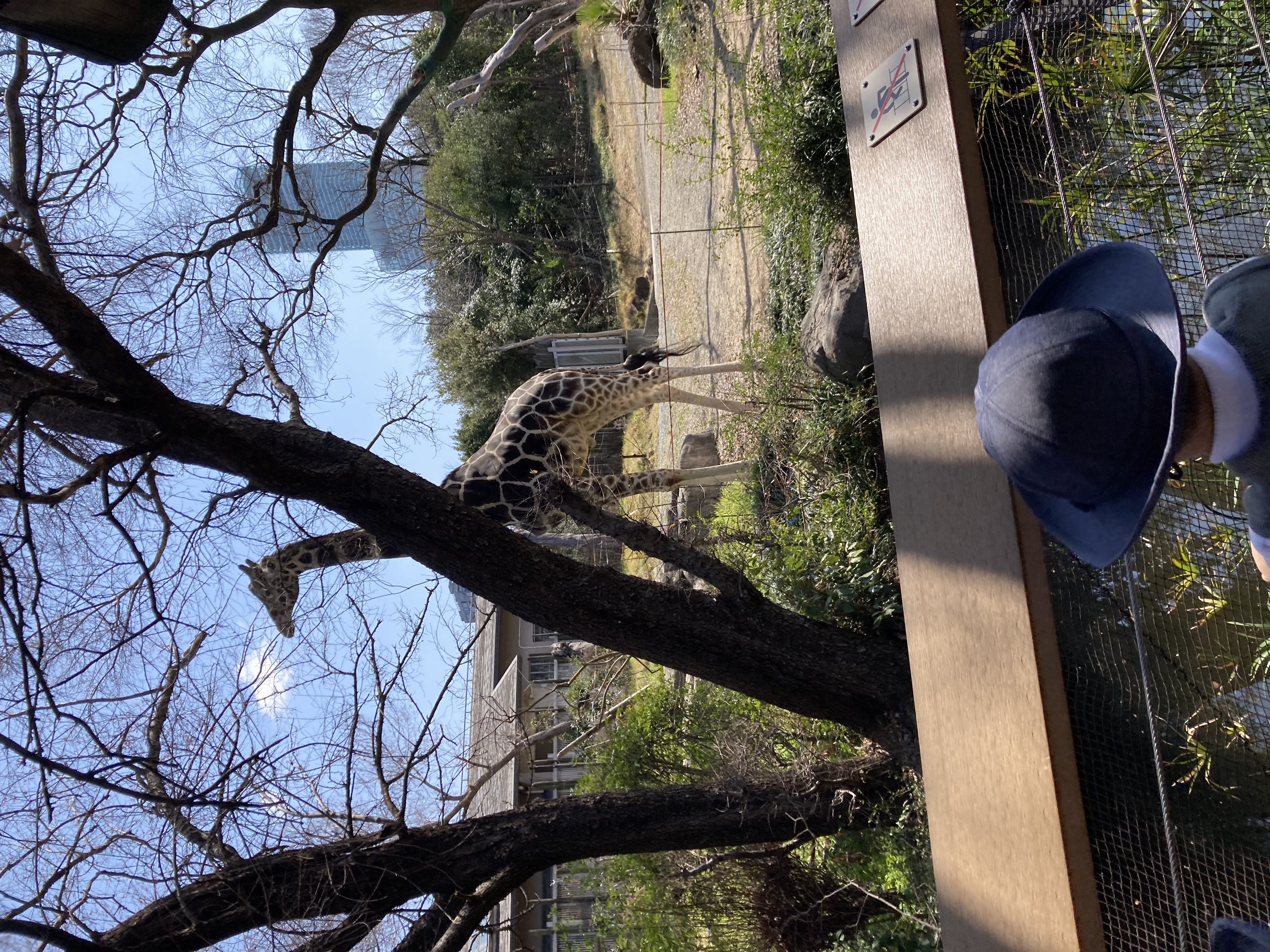 IMG_1366.jpeg (4.63 MB)