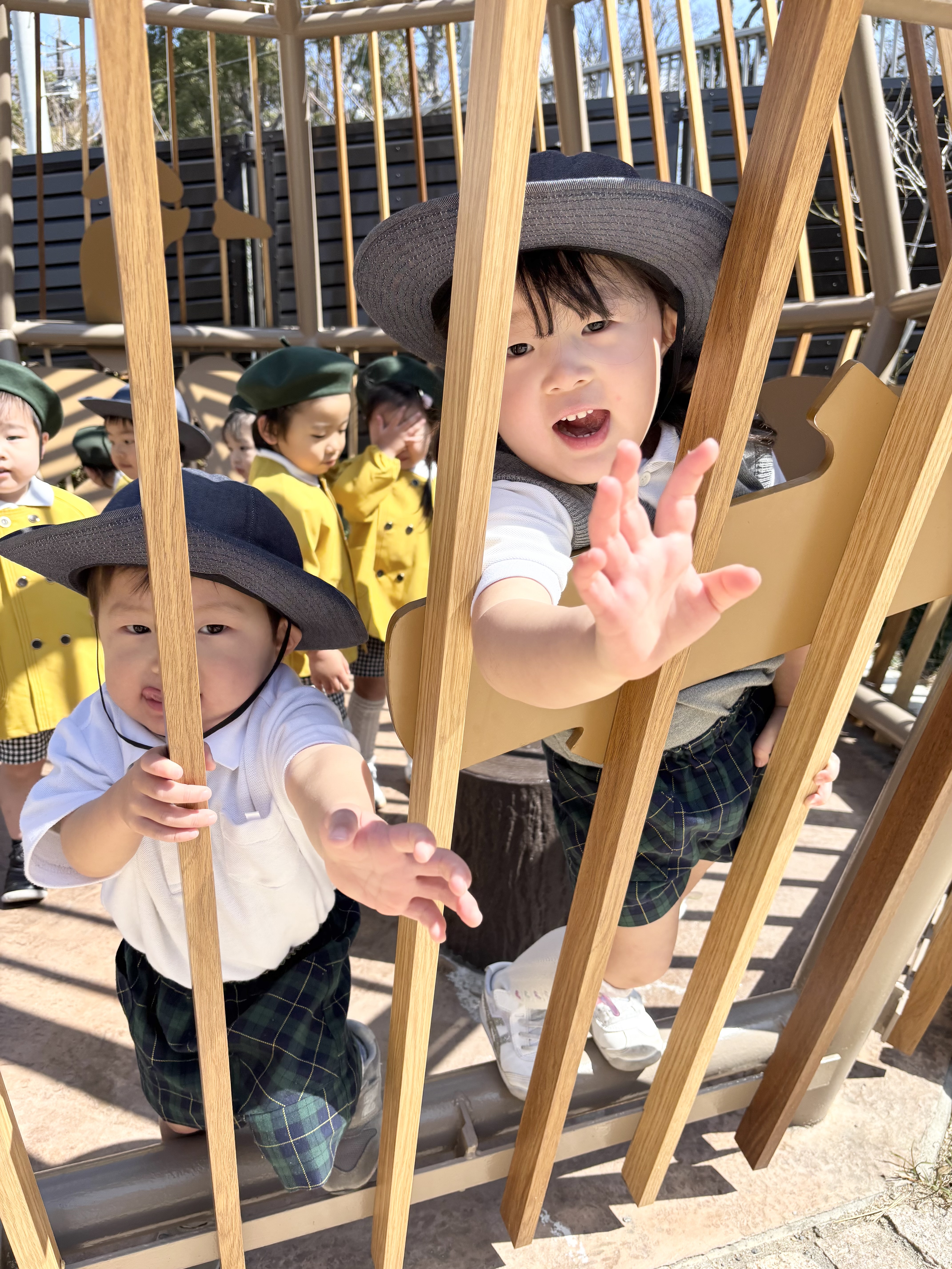 IMG_1833.jpeg (4.93 MB)