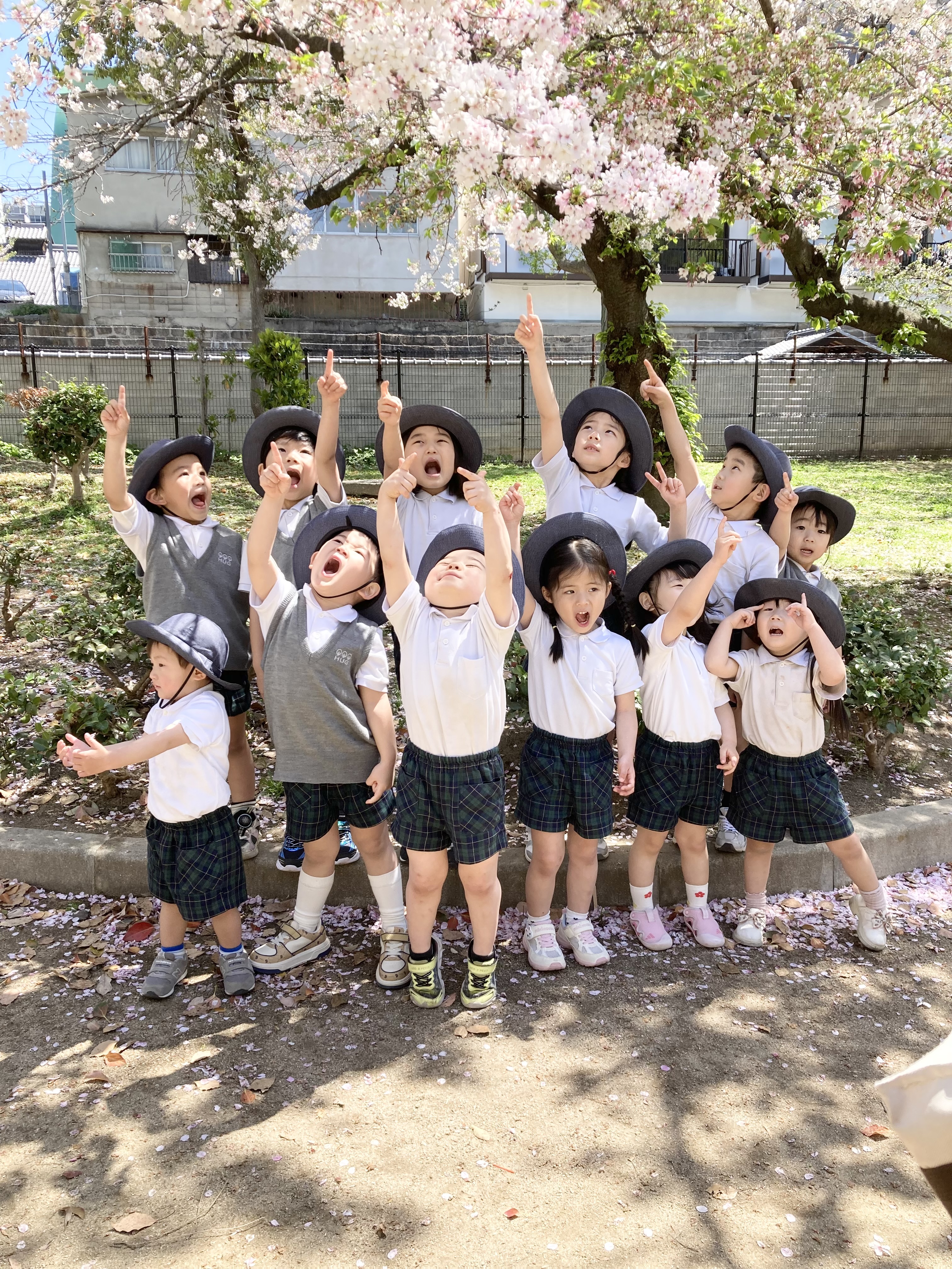 IMG_2972.jpeg (4.94 MB)