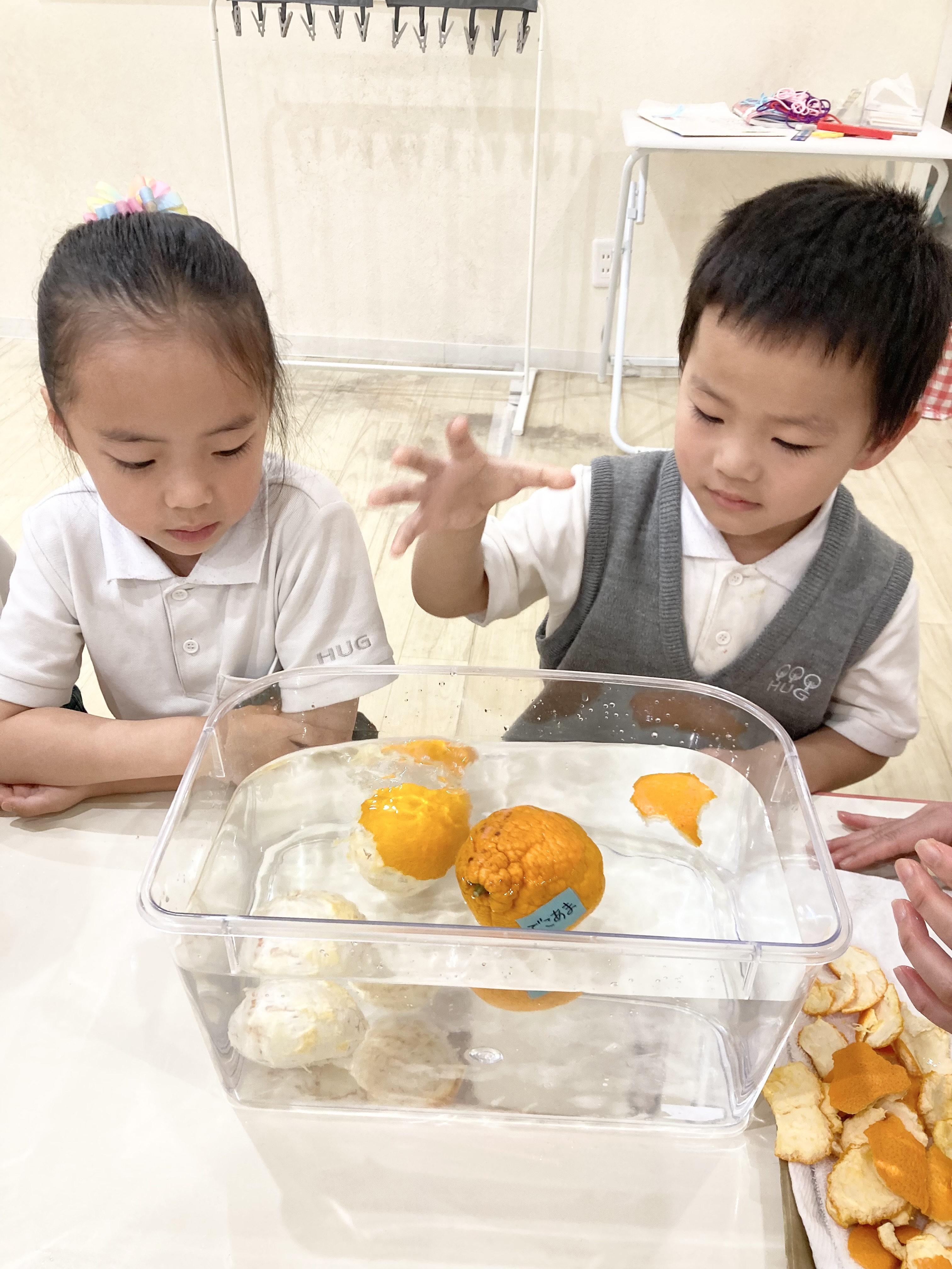 IMG_3880.jpeg (1.96 MB)