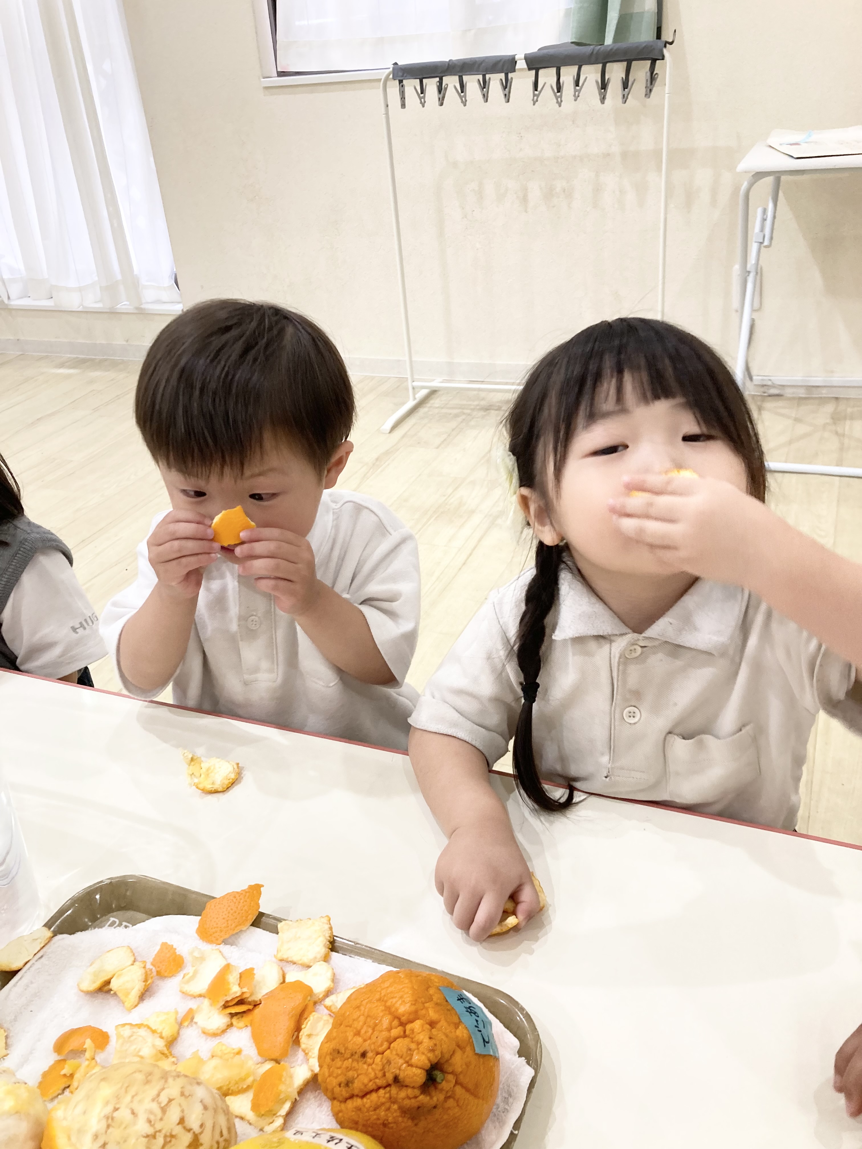 IMG_3889.jpeg (1.75 MB)