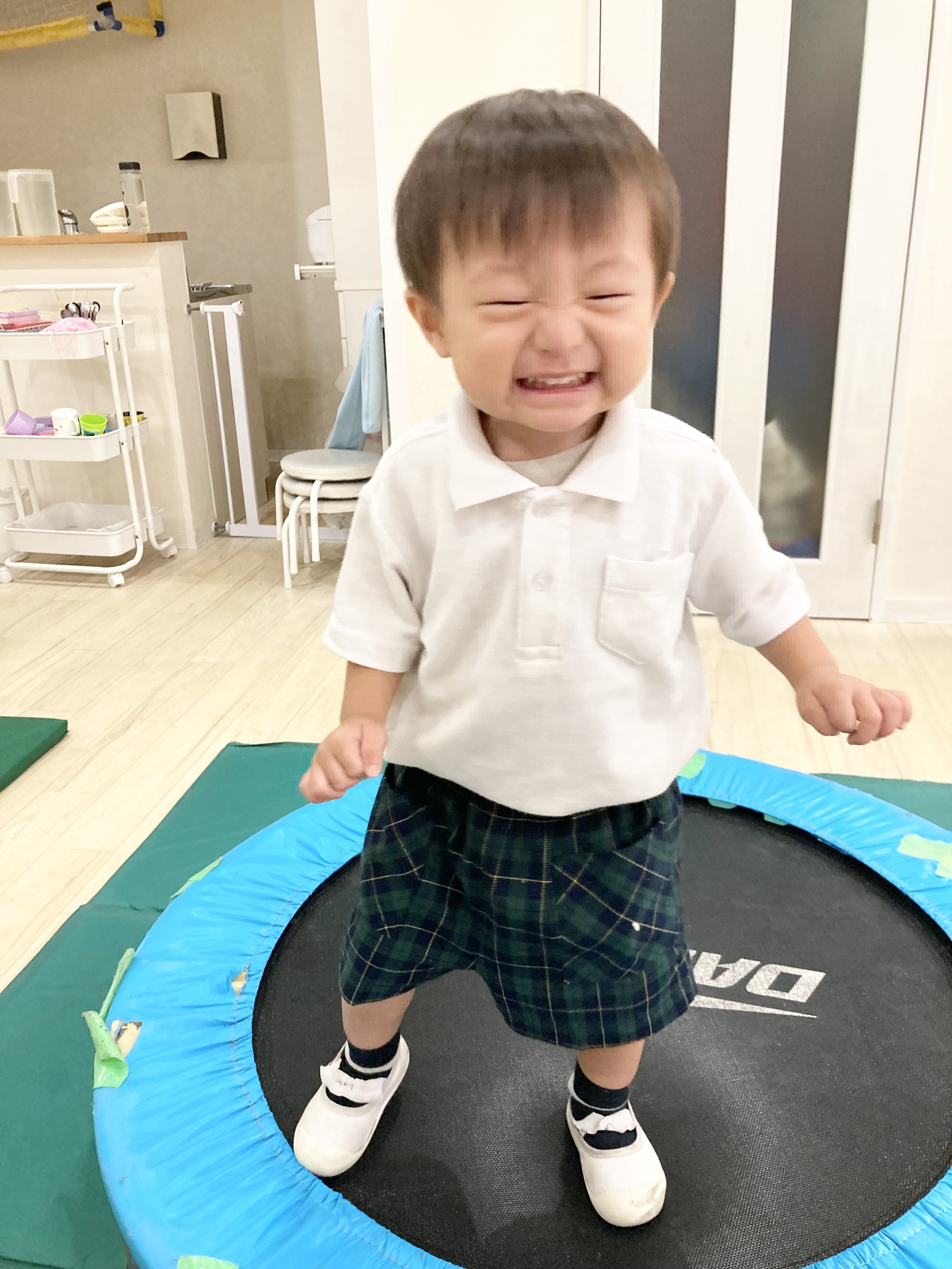 IMG_5611.jpeg (2.06 MB)