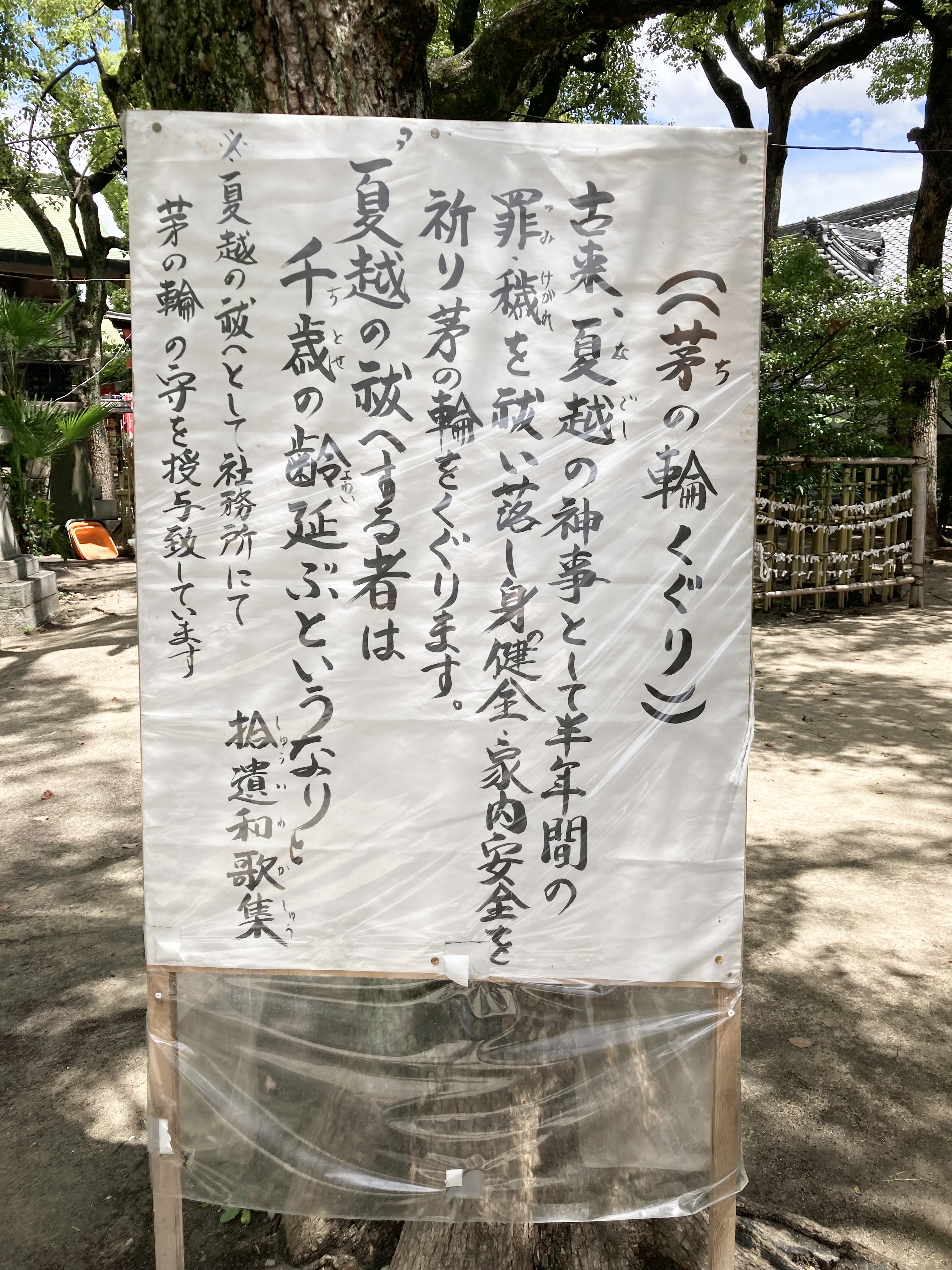 IMG_8674.jpeg (2.96 MB)
